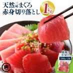 天然 三崎まぐろ 赤身 切落し 1kg