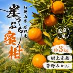 若野みかん 崖っぷち蜜柑 約3kg