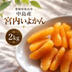 宮内いよかん 2kg