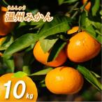 ふるさと納税 松山市 【11月から順次発送予定】 温州みかん 10kg