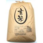 ふるさと納税 栗原市 【令和6年産】宮城栗原産 つや姫 玄米15kg (15kg×1袋)