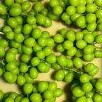 ショッピングふるさと納税 シャインマスカット ふるさと納税 笛吹市 家庭用シャインマスカット2kg　メイア農園から　恋しくなる大自然の恵みをお届けいたします