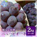 ふるさと納税 津山市 【先行予約 2025年発送】岡山県産 種なし完熟 ニューピオーネ 3房〜5房(合計2kg)
