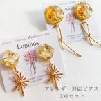 アクセサリー ピアス アレルギー対応ピアス