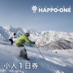 白馬八方尾根スキー場リフト券