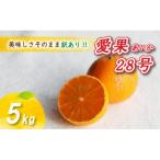 ショッピングふるさと納税 訳あり ふるさと納税 松山市 訳あり 愛果28号 5kg あいか