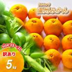 ふるさと納税 松山市 訳あり 温州みかん 5kg