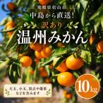 訳あり 温州みかん 10kg