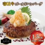 壱岐牛 ゴールドハンバーグ 150g×10個