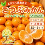 ちっちゃな 有田みかん こつぶみかん 10kg