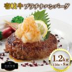 壱岐牛 プラチナハンバーグ 150g×8個