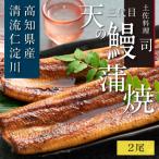土佐料理司 三代目天の鰻蒲焼 2尾セット
