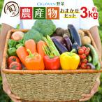 OGAWA N野菜セット 旬の農産物おまかせセット 約3kg