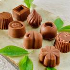 ミニミルクチョコ詰合わせ 8個