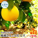 ふるさと納税 土佐市 高知県土佐市産 楠瀬さんの土佐文旦 贈答用 小玉 約5kg(L〜Mサイズ 12〜15玉)
