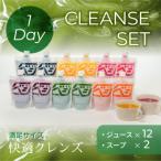 プレミアム野菜の生搾りコールドプレスジュース 1-dayクレンズセット