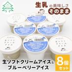 ふるさと納税 根羽村 絞りたて生乳を使用!生ソフトクリームアイス&ブルーベリーアイス 8個セット