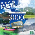 おためし券 3000円分