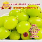 ショッピングふるさと納税 シャインマスカット ふるさと納税 岡山市 【2026年先行受付・2026年6月下旬順次発送】岡山県産　シャインマスカット　秀品　粒だけ1kg