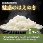 魅惑のはえぬき 精米 1kg