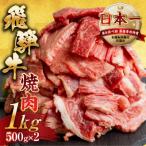 ふるさと納税 本巣市 【訳あり】飛騨牛 焼肉 切り落とし 1kg(500g×2パック)