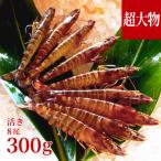 fu.... налог .. сиденье .[.. место из прямая поставка ].. машина море . супер большой предмет размер примерно 300g(8 хвост / примерно 17cm)