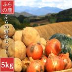 2026年先行受付 富良野産 野菜セット5kg詰め
