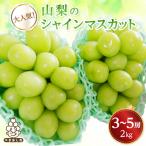 ふるさと納税 山梨市 シャインマスカット 3〜5房 2kg
