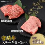 牛肉 ステーキ 宮崎牛ステーキ 2種