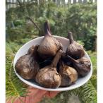 fu.... налог Nagasaki префектура .. чёрный чеснок 1kg