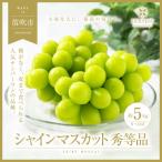 ふるさと納税 笛吹市 山梨県笛吹市産　旬の採れたてシャインマスカット　秀等品　約5kg(8〜11房)
