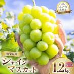 ショッピングふるさと納税 シャインマスカット ふるさと納税 韮崎市 朝採れ シャインマスカット 1.2kg (2〜3房) 山梨県韮崎市 【令和8年産先行受付】数量限定