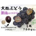 大粒希少品種 藤稔1房700g以上
