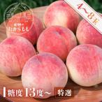 ふるさと納税 高山市 2025年発送中 桃 糖度13度以上 飛騨のたからもも 1.5〜2.0k GH003