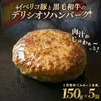 豚肉 ハンバーグ 黒毛和牛とイベリコ豚のハンバーグ 150g×5…