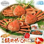 今期とれたて茹でたてを瞬間冷凍 はるか丸が厳選