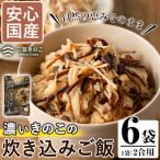 濃いきのこの炊き込みご飯の素 2合用×6個