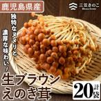 生ブラウンえのき茸 20袋