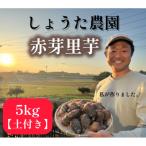 しょうた農園の赤芽里芋 5kg
