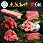 土佐牛詰め合わせ6種