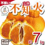 ふるさと納税 宇城市 【先行予約!2026年2月上旬から順次発送】 完熟 不知火 約7kg(18玉〜35玉) サイズ不揃い