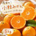 みかん ご 崖っぷち蜜柑 若野産 約5kg