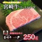 ふるさと納税 小林市 畜産農家応援!『宮崎牛』ロースステーキ250g(D142)