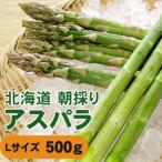 ふるさと納税 旭川市 【先行受付】令和7年5月下旬より順次発送 旭川近郊産グリーンアスパラ 500g Lサイズ_04750