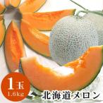 ふるさと納税 旭川市 【先行受付】2026年7月下旬以降 北海道産赤肉メロン完熟糖度16度 1玉 約1.6kg_04752