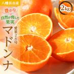八幡浜産愛果28号マドンナ2kg YWTAS048