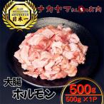 2544 うしの中山 ホルモン 大腸 500g