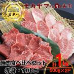 ふるさと納税 鹿屋市 2550 【ナカヤマさんちのお肉】うしの中山 焼肉食べ比べ (赤身・カルビ)1kg(500g×2P)