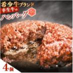 幸生牛 ハンバーグ 150g×4個