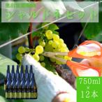 シャルドネ 白ワイン 750ml×12本セット